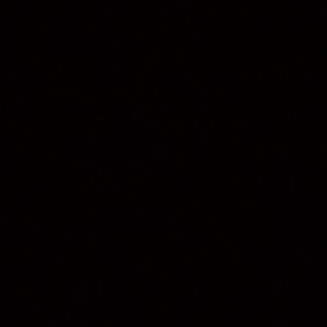 Meet your Posher, Hamad